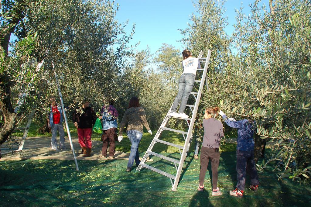 Il Podere di Giustina Villa Montecarlo Esterno foto