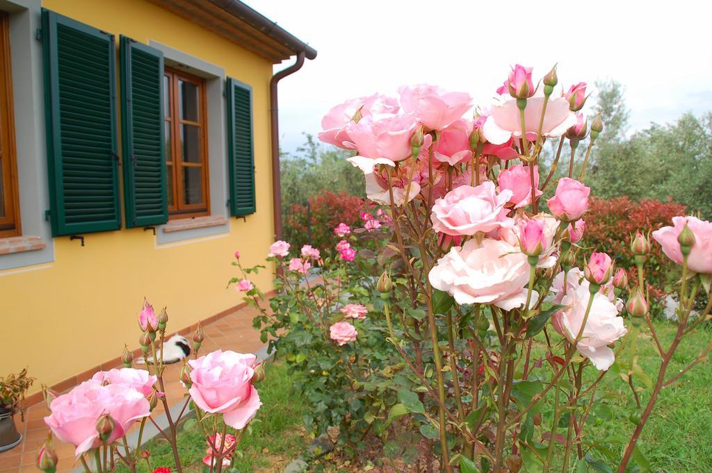 Il Podere di Giustina Villa Montecarlo Esterno foto